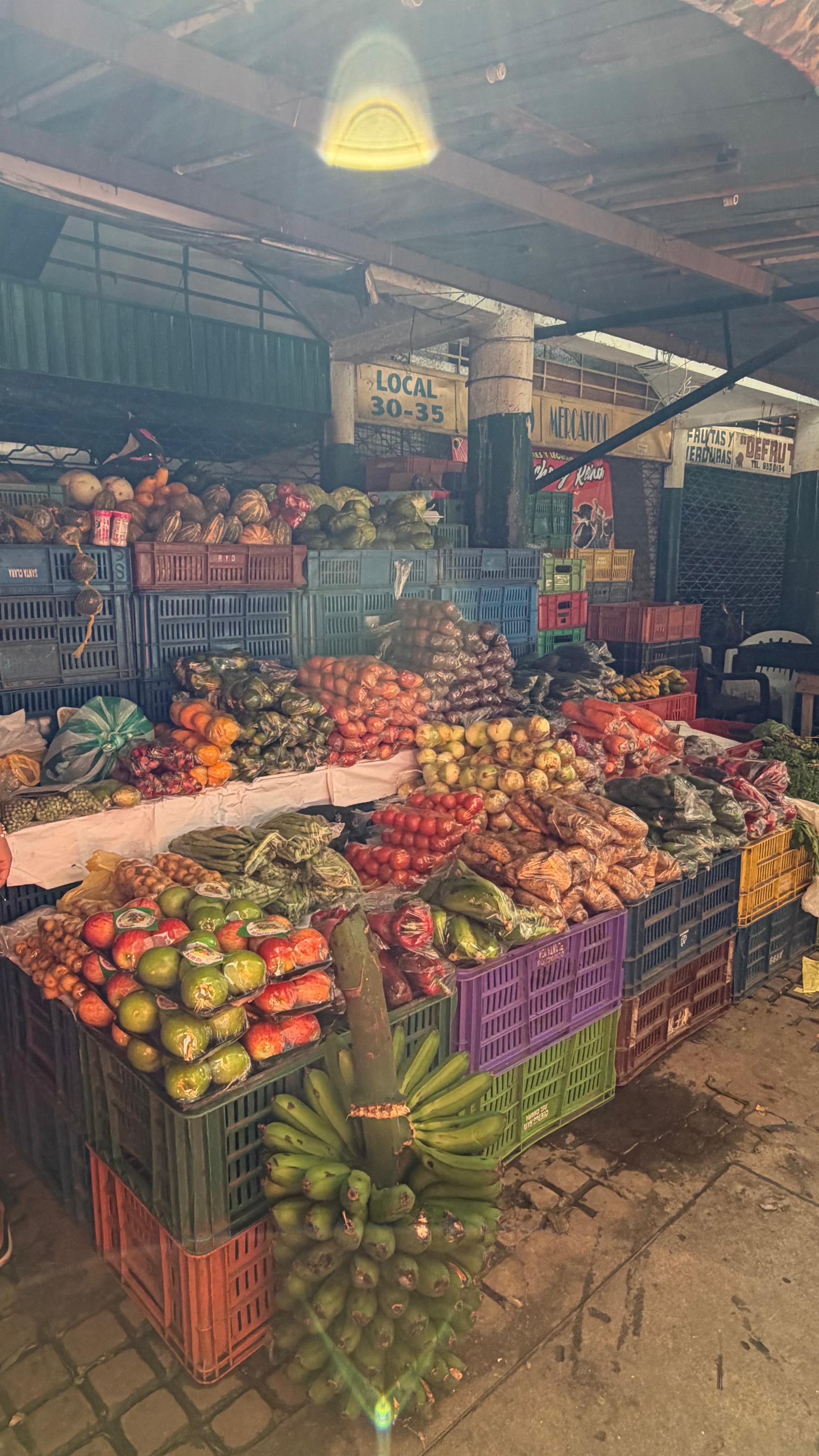 Diversidad y ecosistema vivo